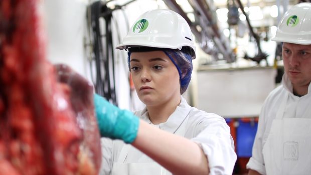 A Meat Hygiene Inspector inspecting meat in a slaughterhouse for the Our Ways of Working blog