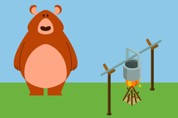 An illustration of a bear with a pot over a campfire