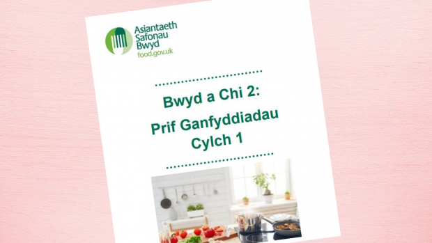 Food and you welsh cover