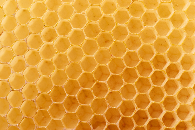 Honey authenticity