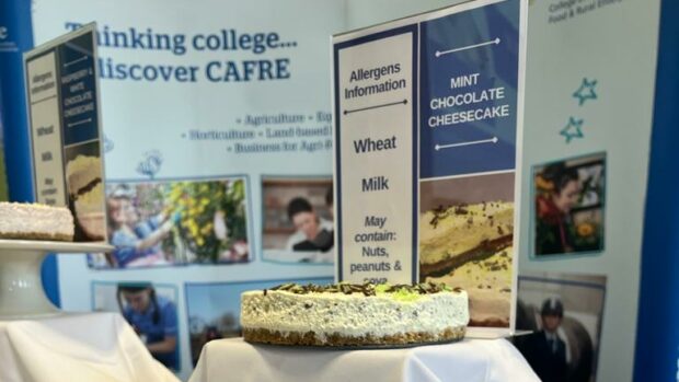 A cheesecake on a stall