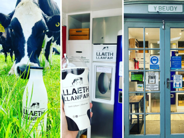 Collage of Llaeth Llanfair, including a cow by a milk bottle