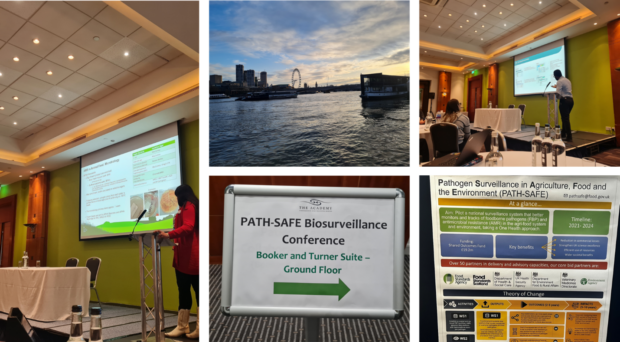 composite of five images including PATH-SAFE conference signs and posters, two of people presenting a powerpoint, and a view of the Thames in low light, with the London Eye in silhouette against the sky
