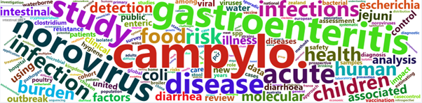 A word cloud generated from the titles of work citing the IID studies. Prominent examples include: campylobacter, gastroenteritis, norovirus. 