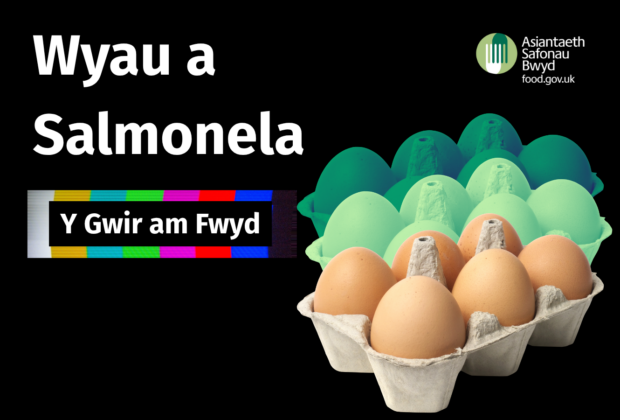 Wyau a Salmonela - Y Gwir am Fwyd